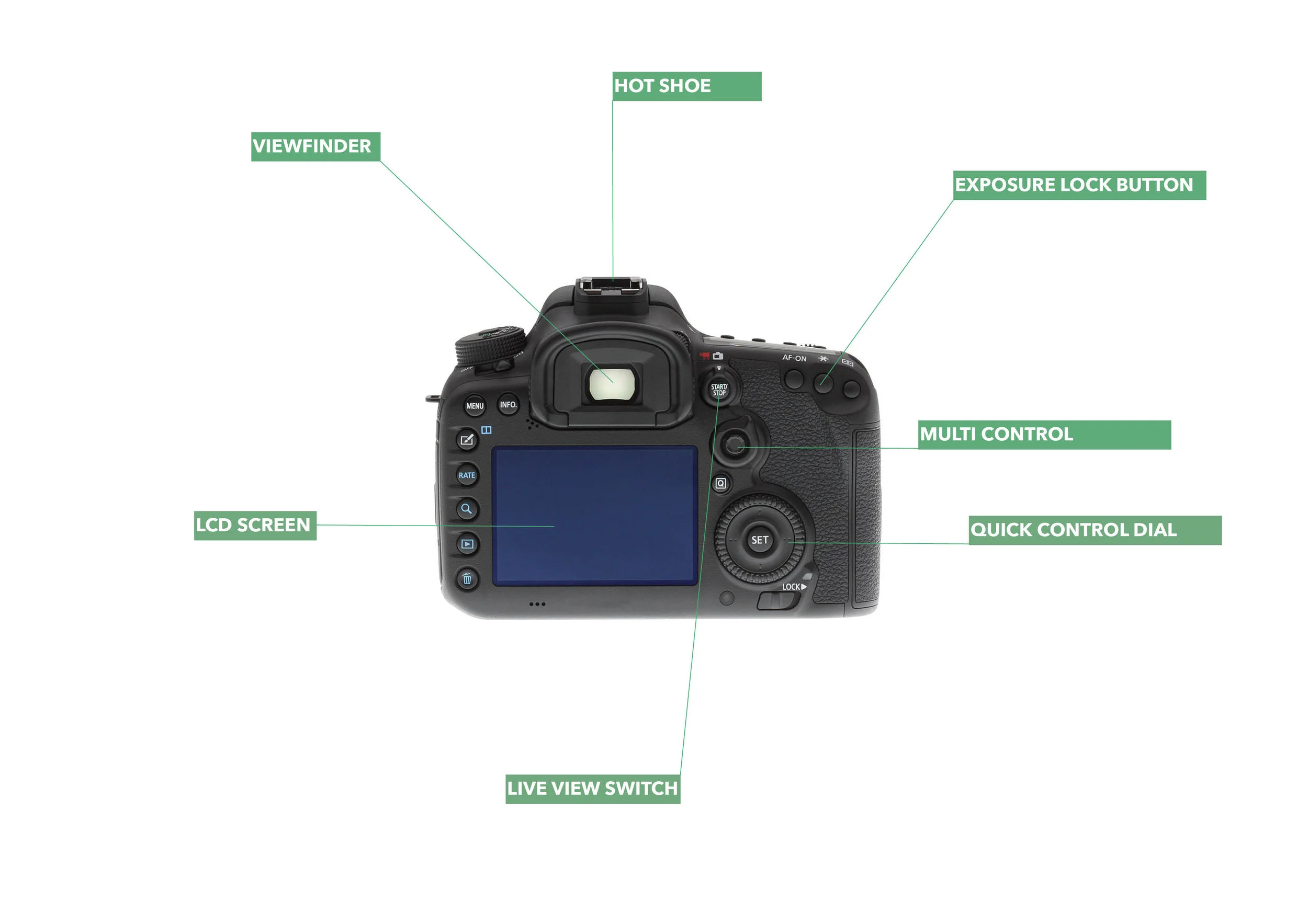 Back of a DSLR camera