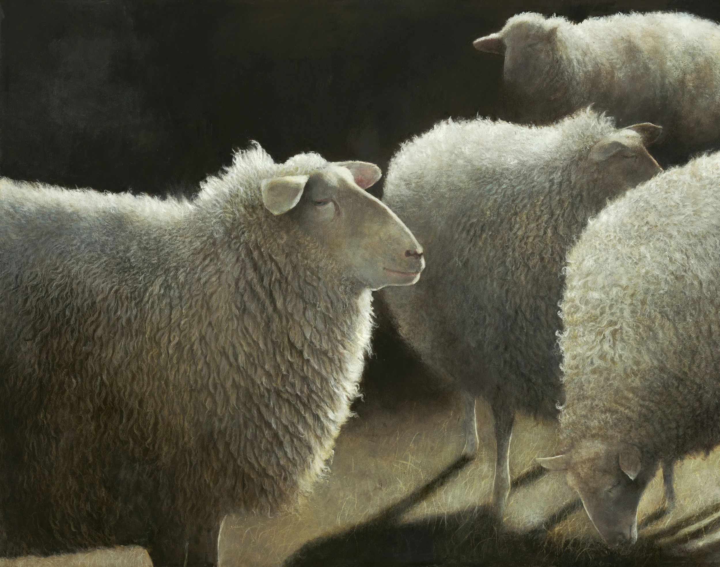 BlackB Sheep 2009 13x192.jpg