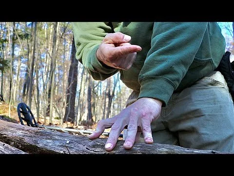 If I did not stop to film this log I would not have found what I found today