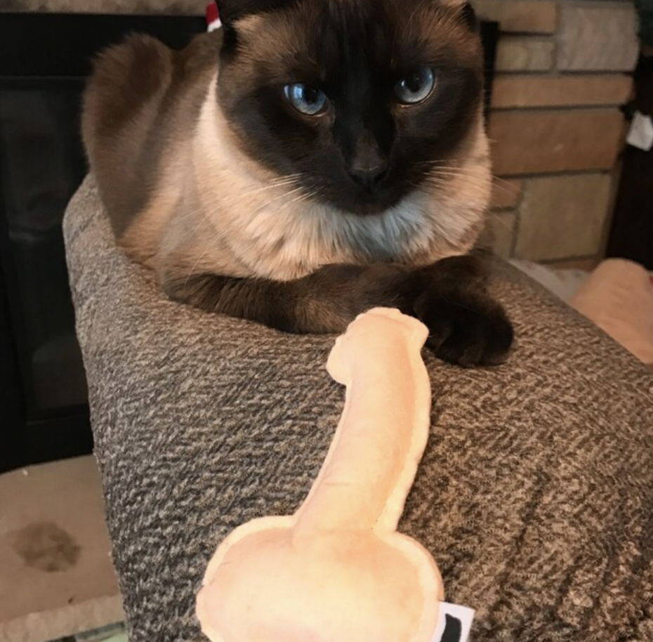 Screenshot 2024-02-08 at 5.18.40 PM.png