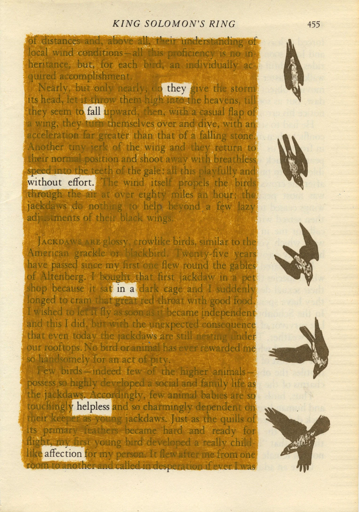 Scan 18.jpeg