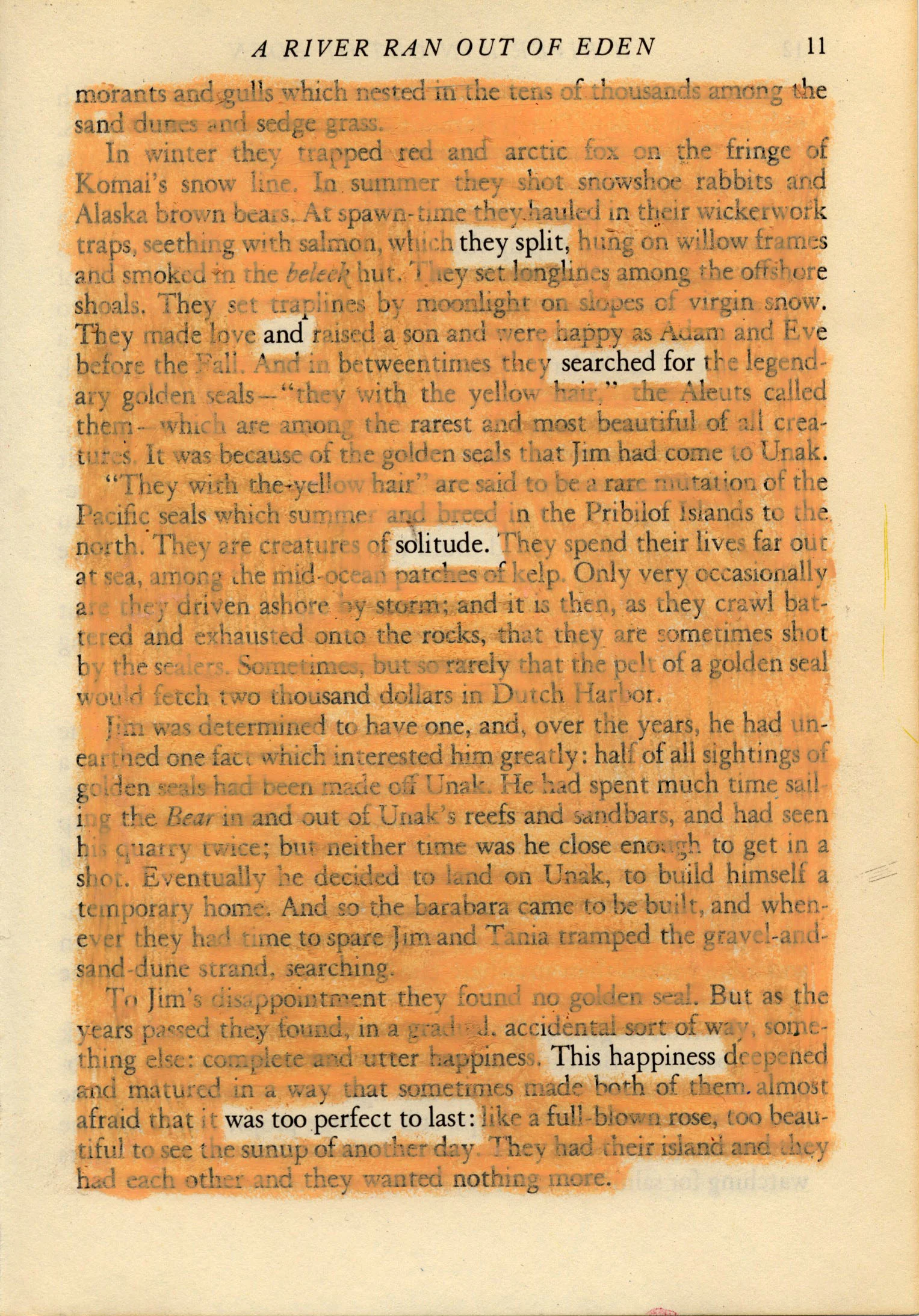 Scan 62.jpeg