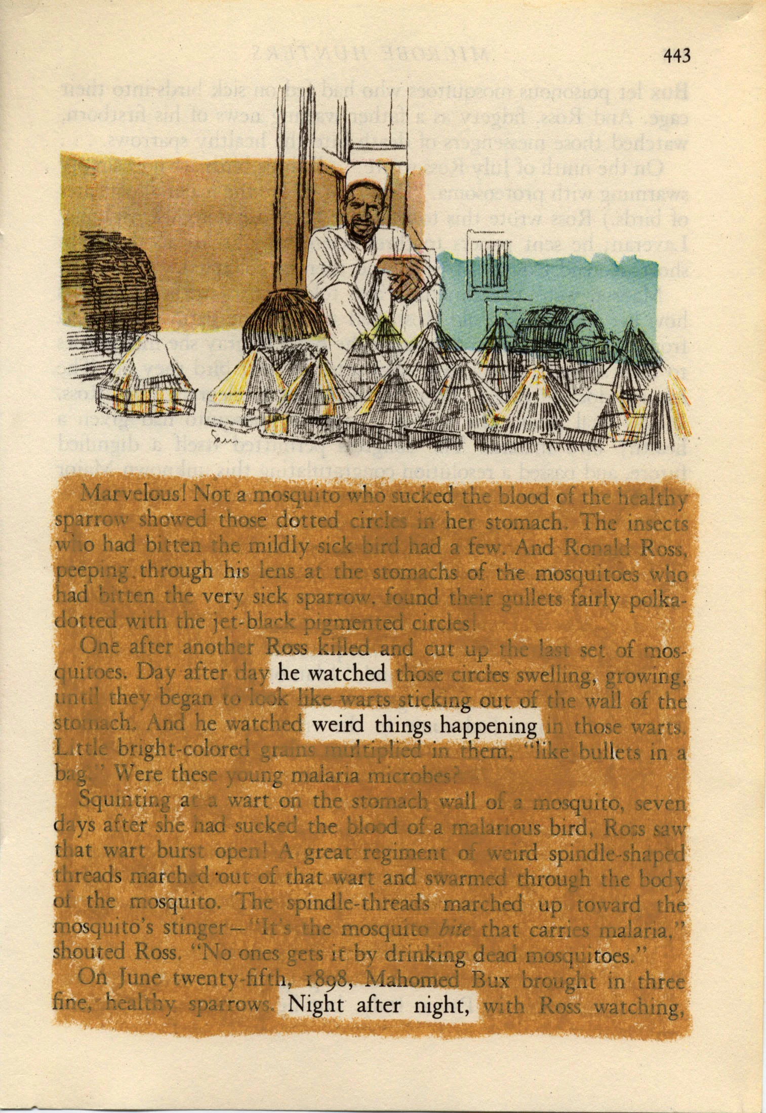 Scan 86.jpeg