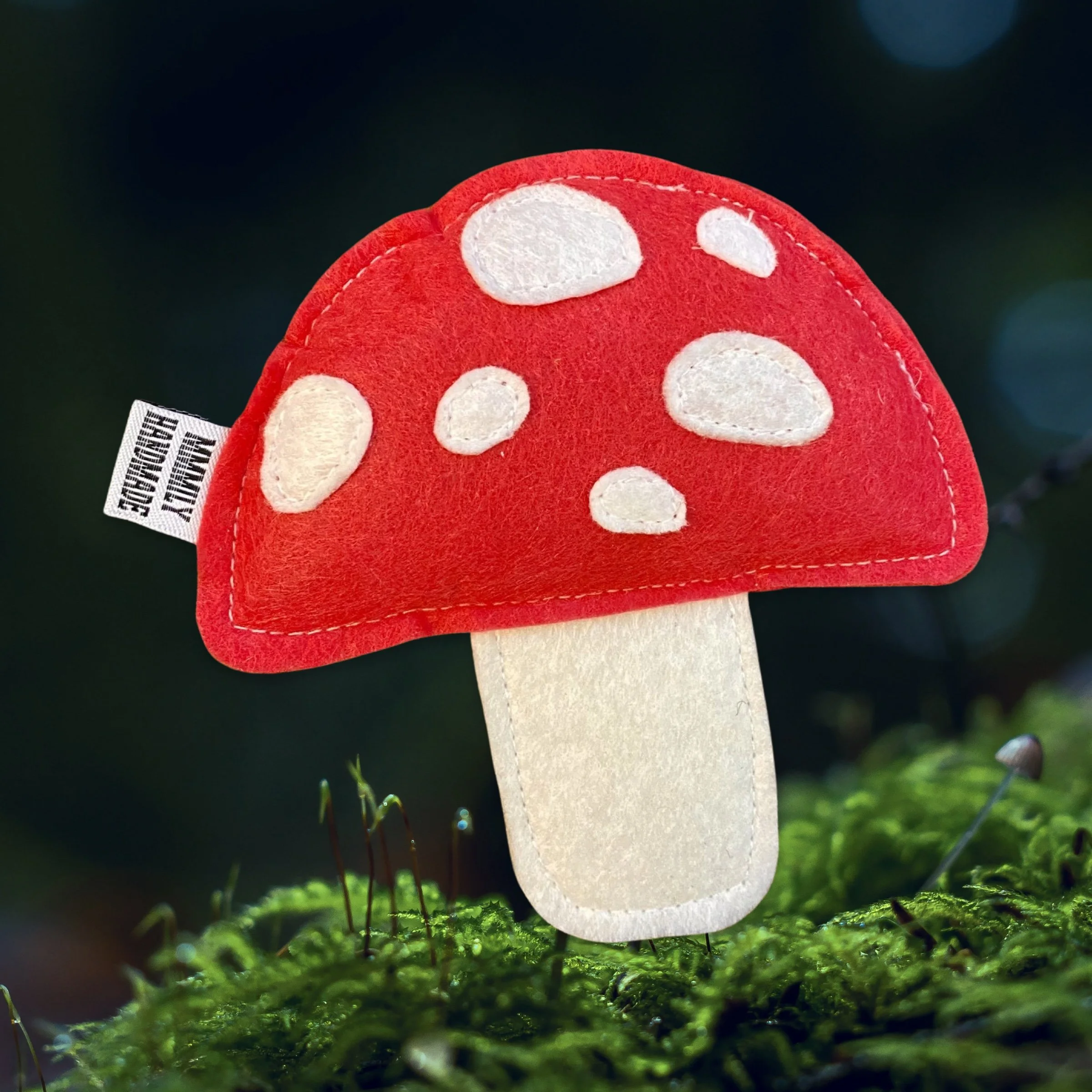 mushroom.jpg