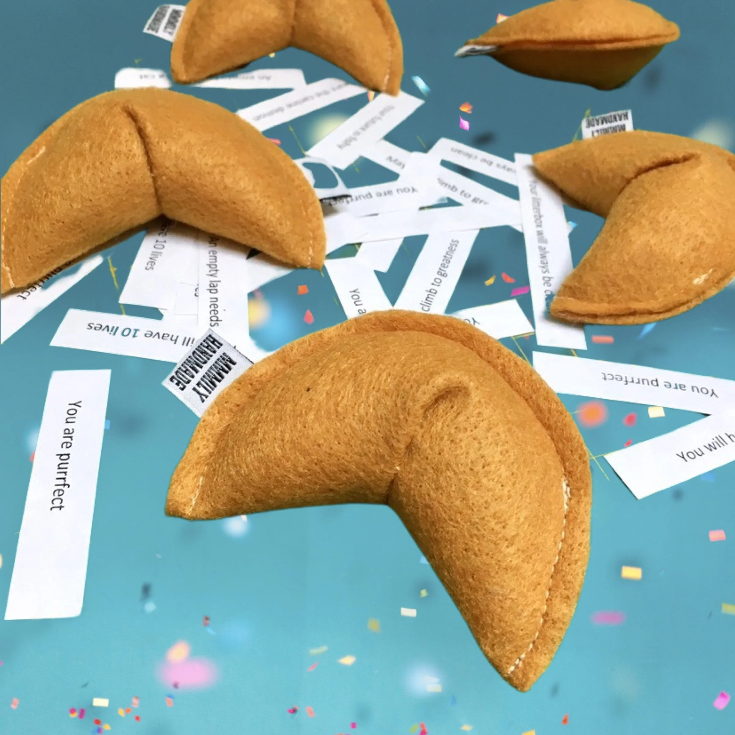 fortune_cookies copy.jpg