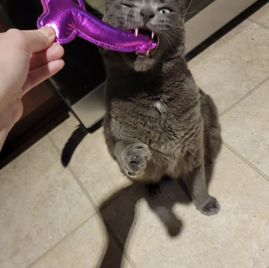 Screenshot 2024-02-08 at 5.17.27 PM.png