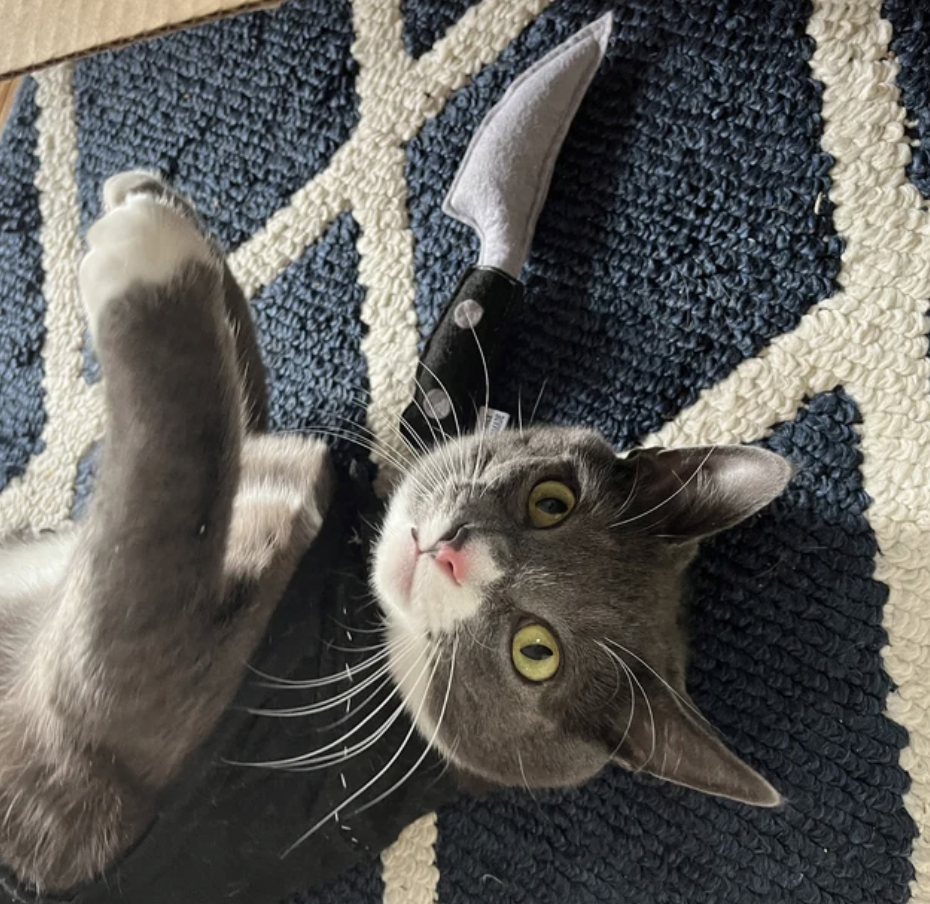 Screenshot 2024-02-08 at 5.18.05 PM.png