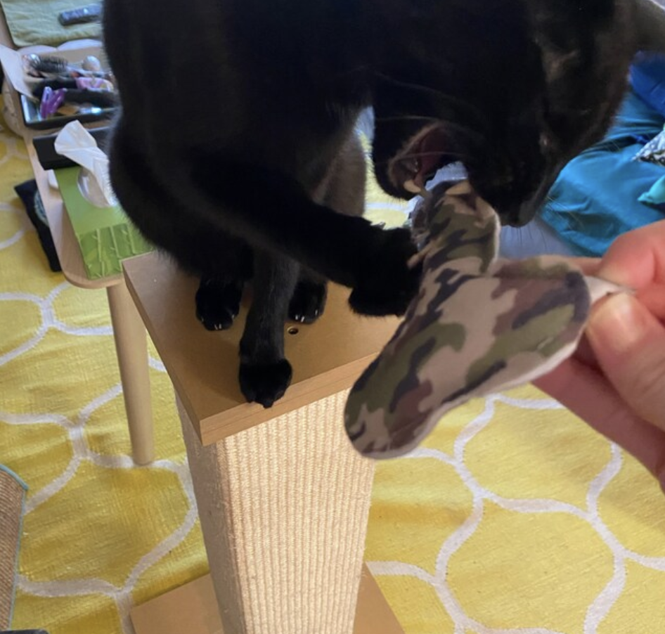 Screenshot 2024-02-09 at 3.47.47 PM.png