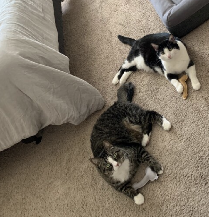 Screenshot 2024-02-09 at 3.50.20 PM.png