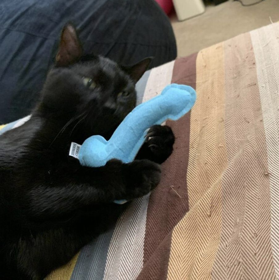 Screenshot 2024-02-09 at 3.49.18 PM.png