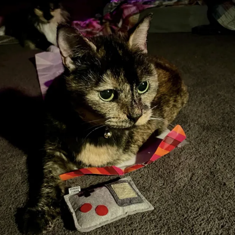 Screenshot 2025-12-24 at 11.58.43 AM.png