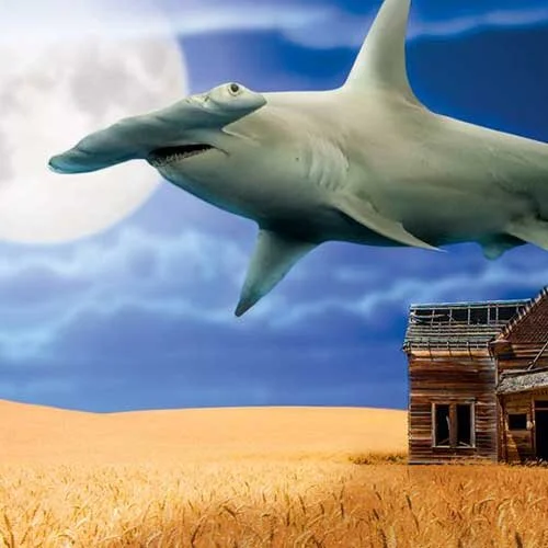 SharkHeaderFast.jpg