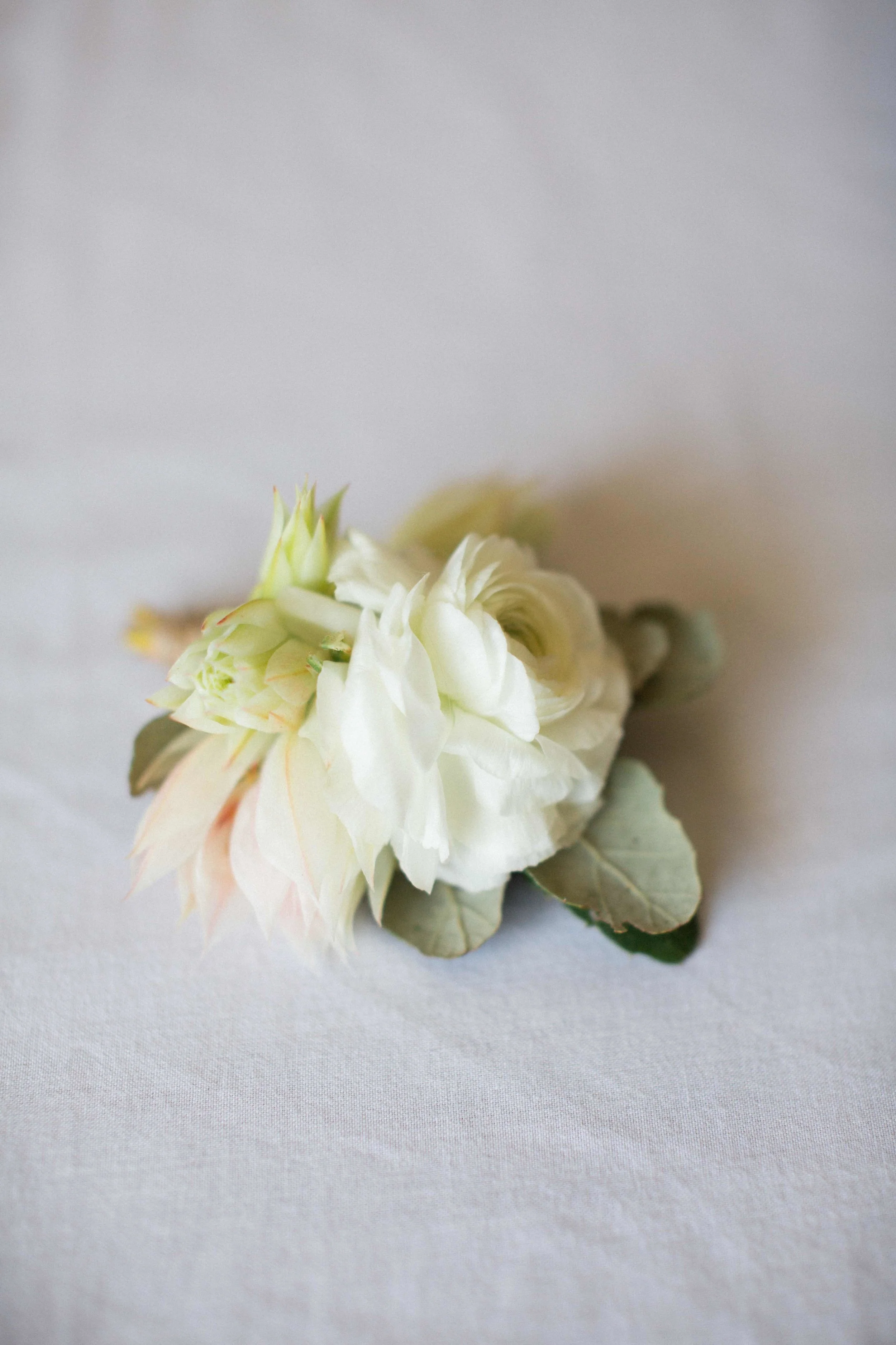 AmeliaClairePhotography_darlingtonestateperth-1.jpeg