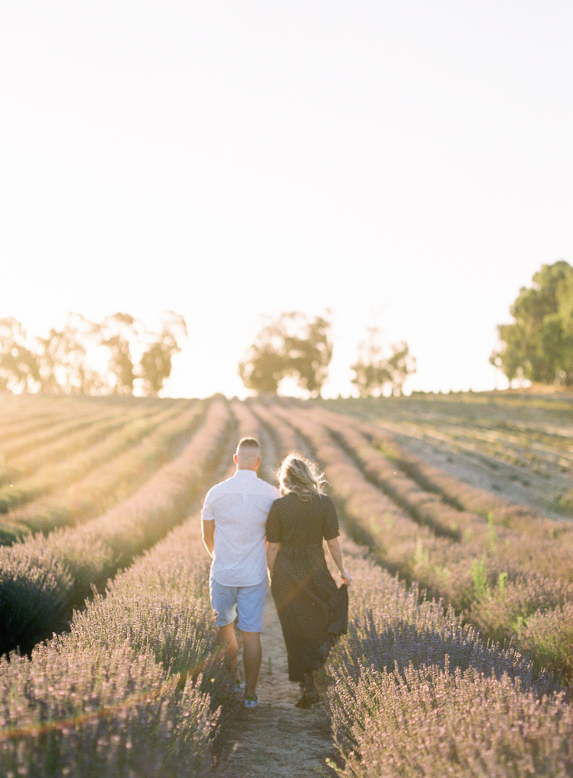 AmeliaClairePhotography_perthlavender-32.jpg