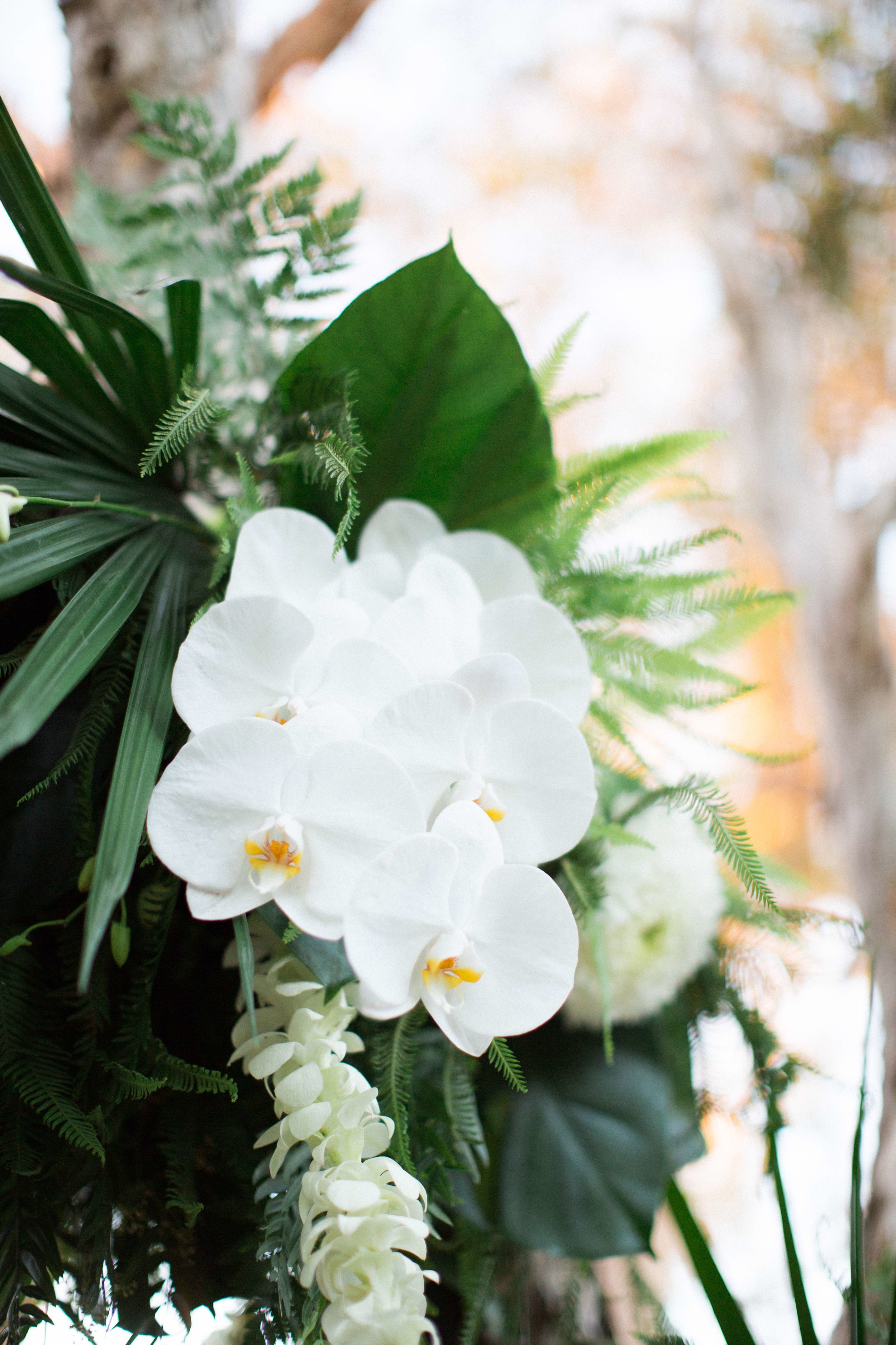 AmeliaClairePhotography_E+T-47.jpeg