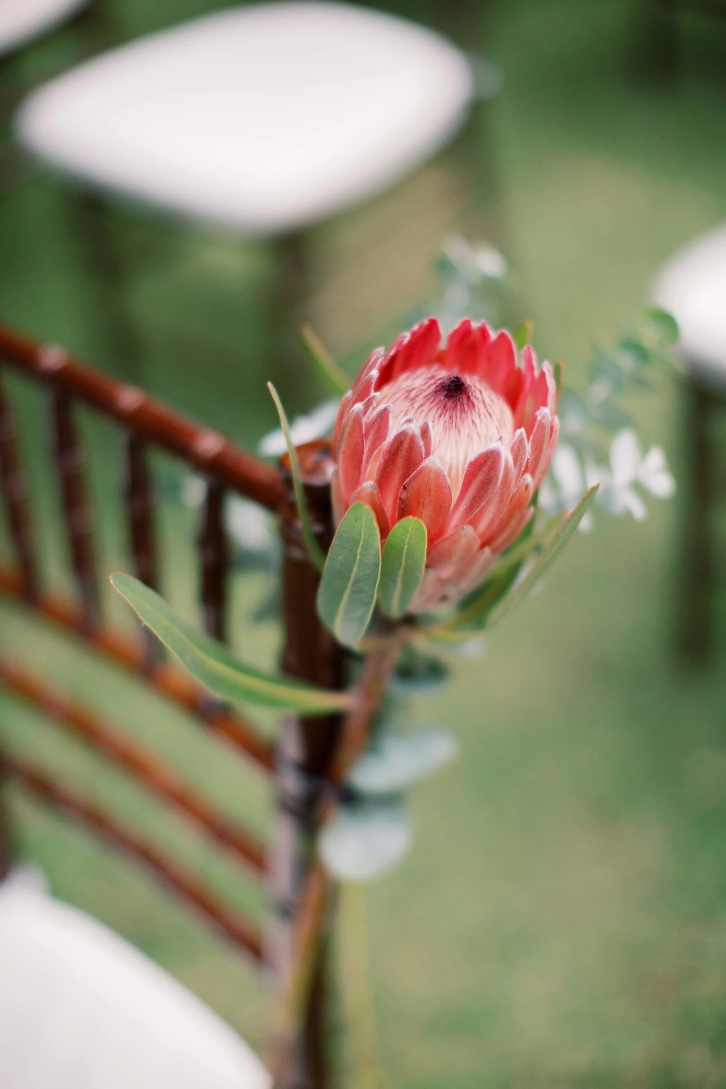 AmeliaClairePhotography_K+J-1-107.jpeg