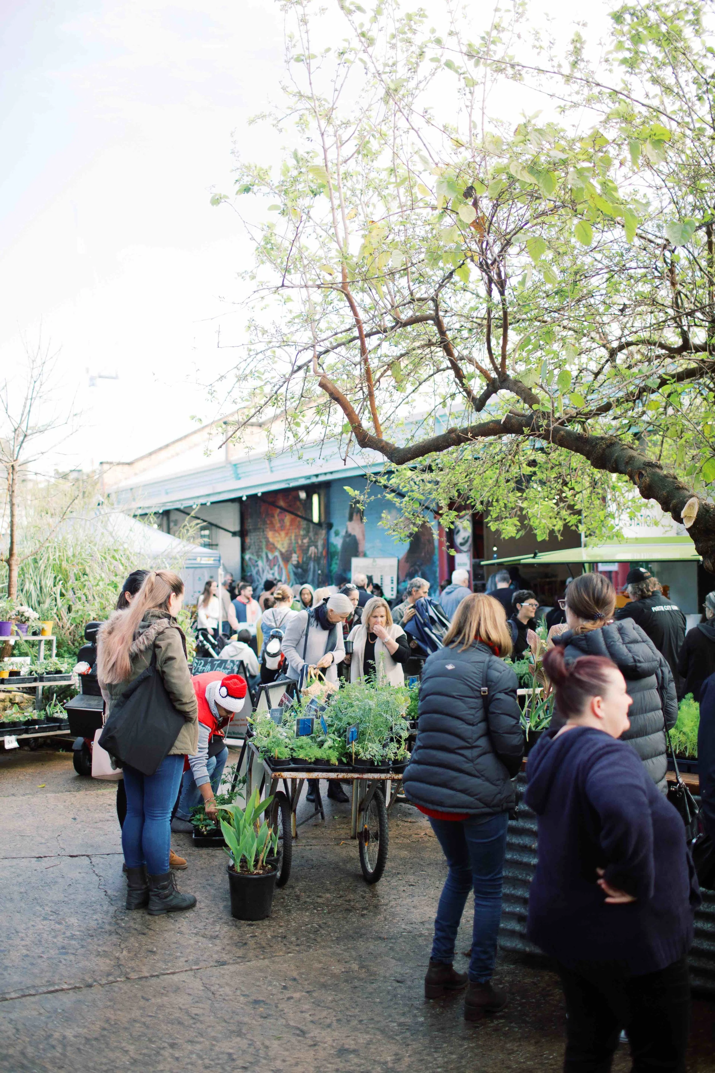 AmeliaClairePhotography_perthcityfarm-1-48.jpeg
