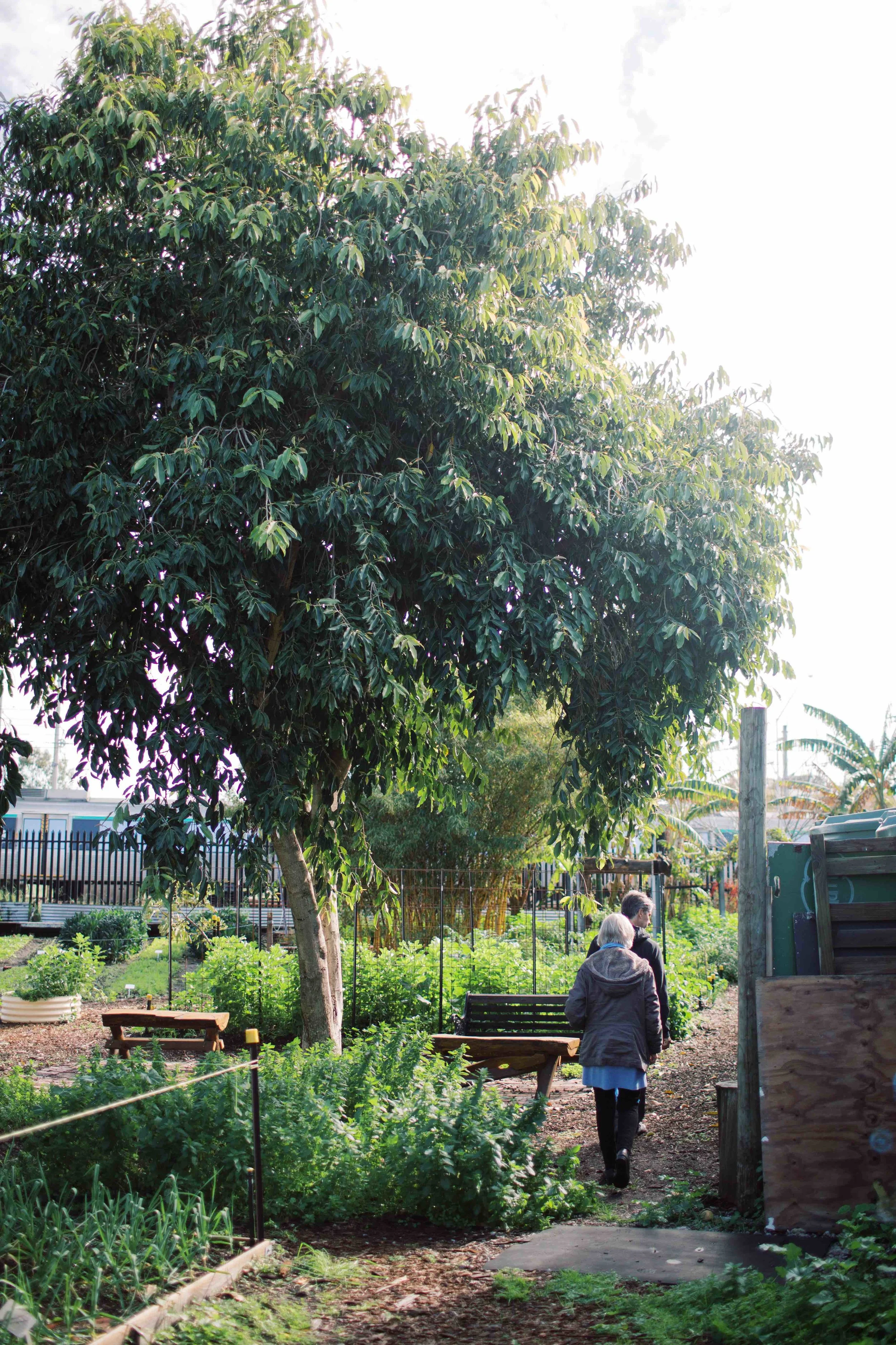 AmeliaClairePhotography_perthcityfarm-1-66.jpeg