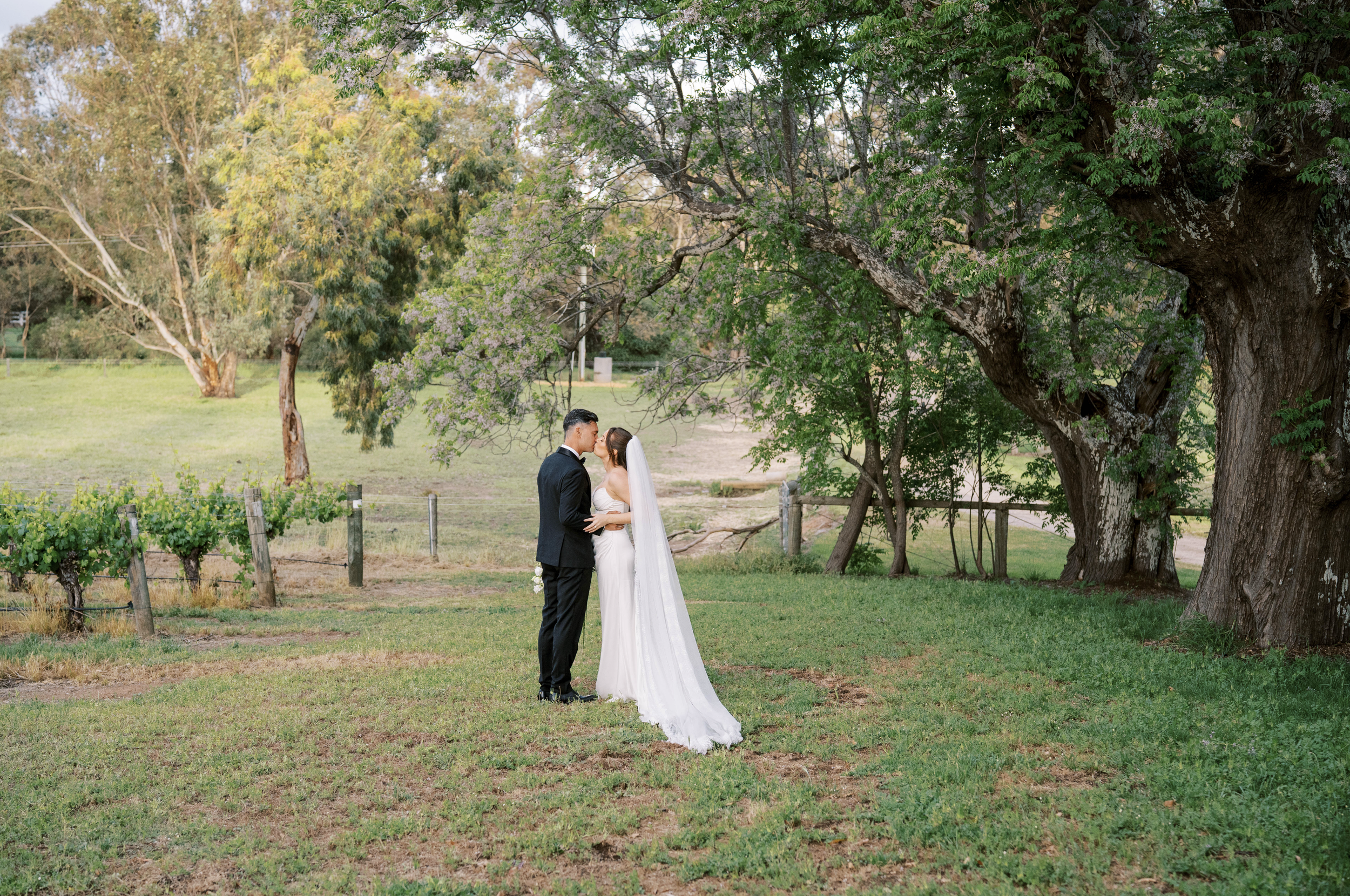 Nikola Estate wedding