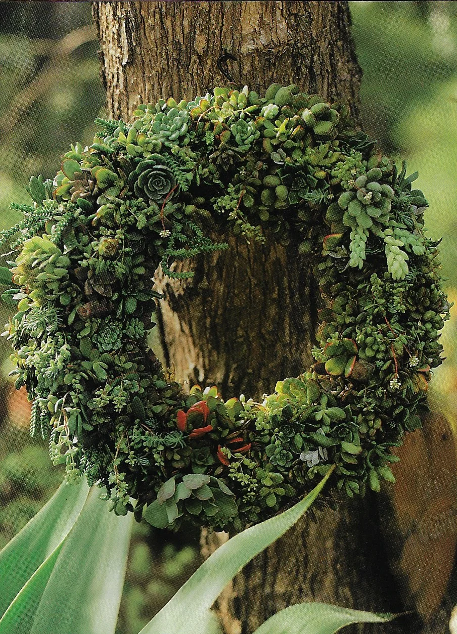 Topiary Succlent Wreath.jpeg