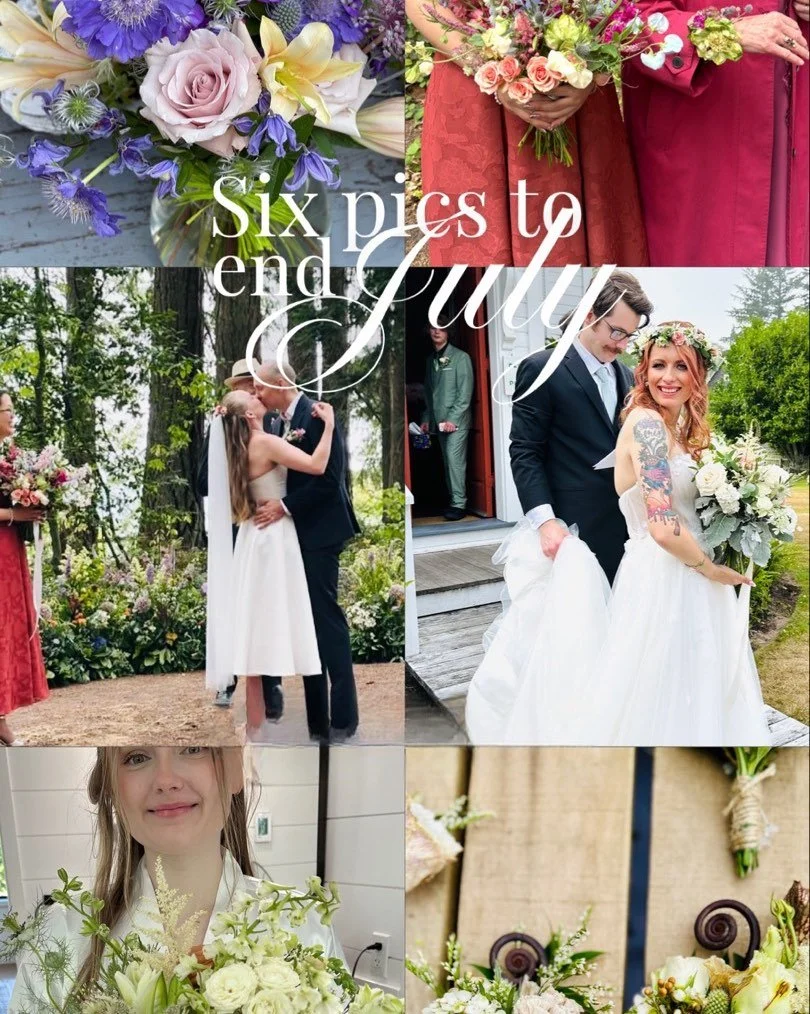 That&rsquo;s a wrap on July 2025 Weddings! August is busy with some dreamy weddings and events! Excited!