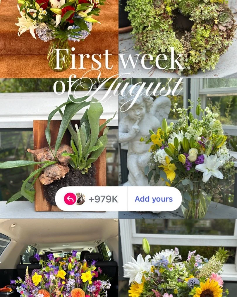 The first week of August 2025