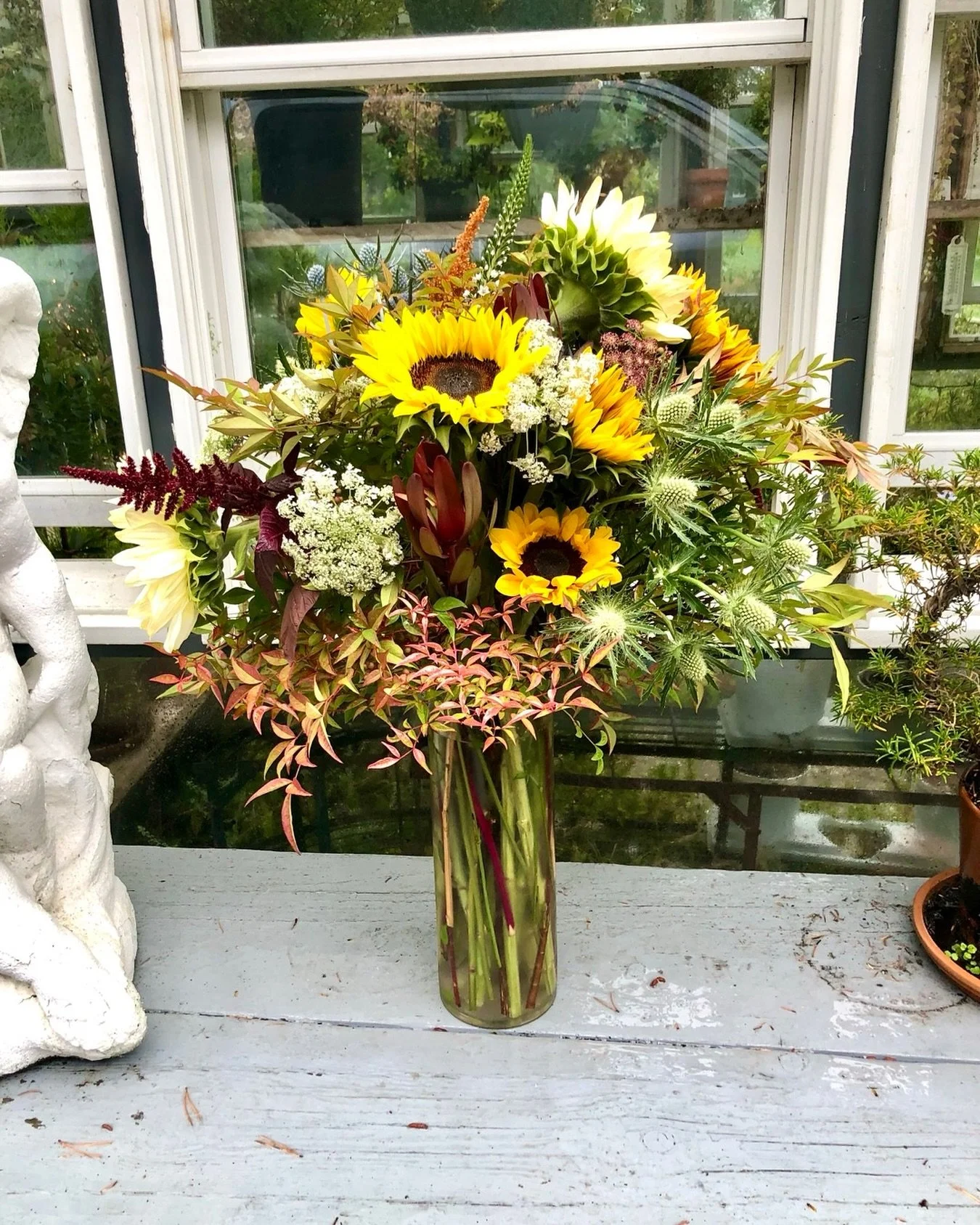 Sunflowers are coming in strong! #sunflowers