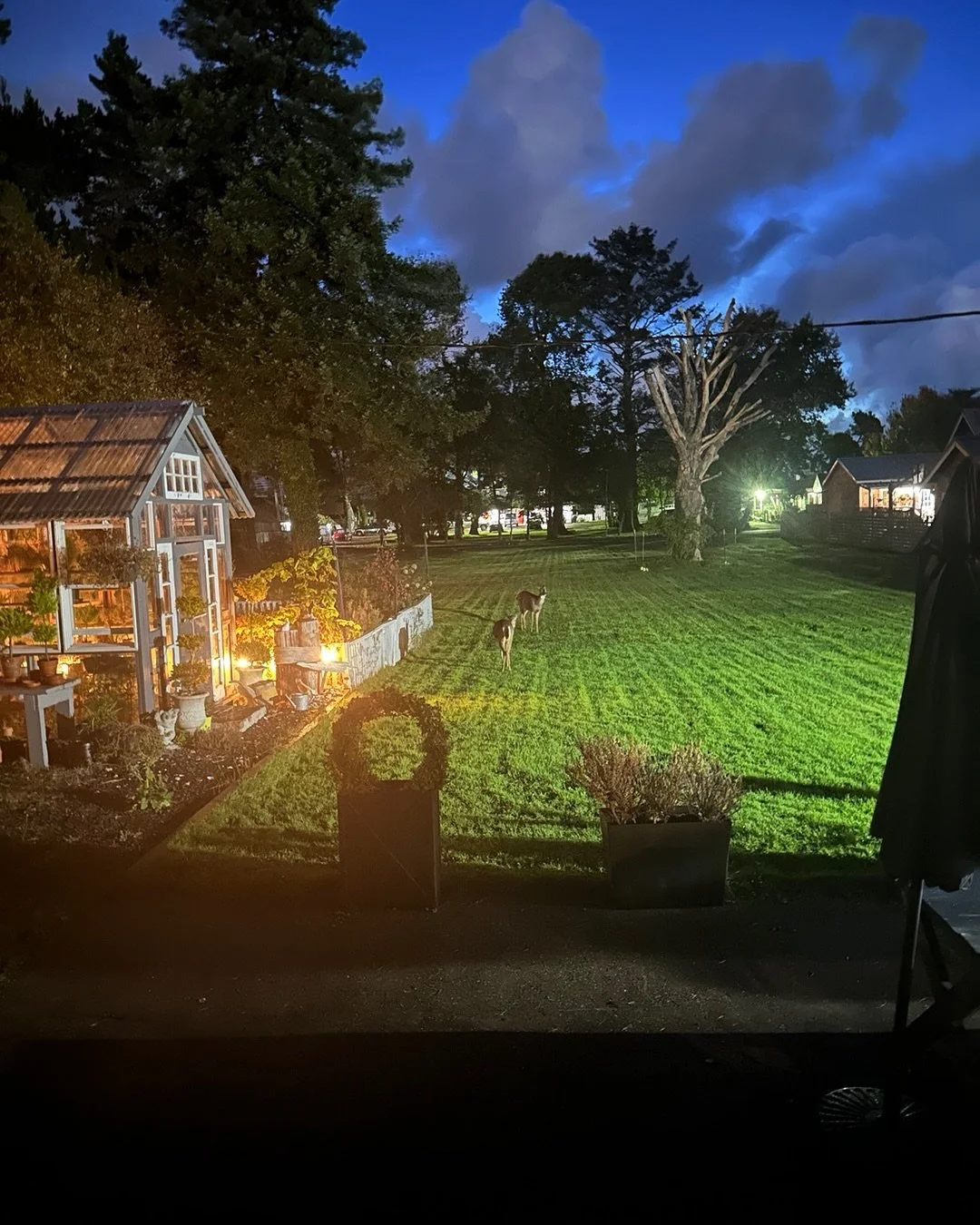 I see you! Leave my flowers alone please!