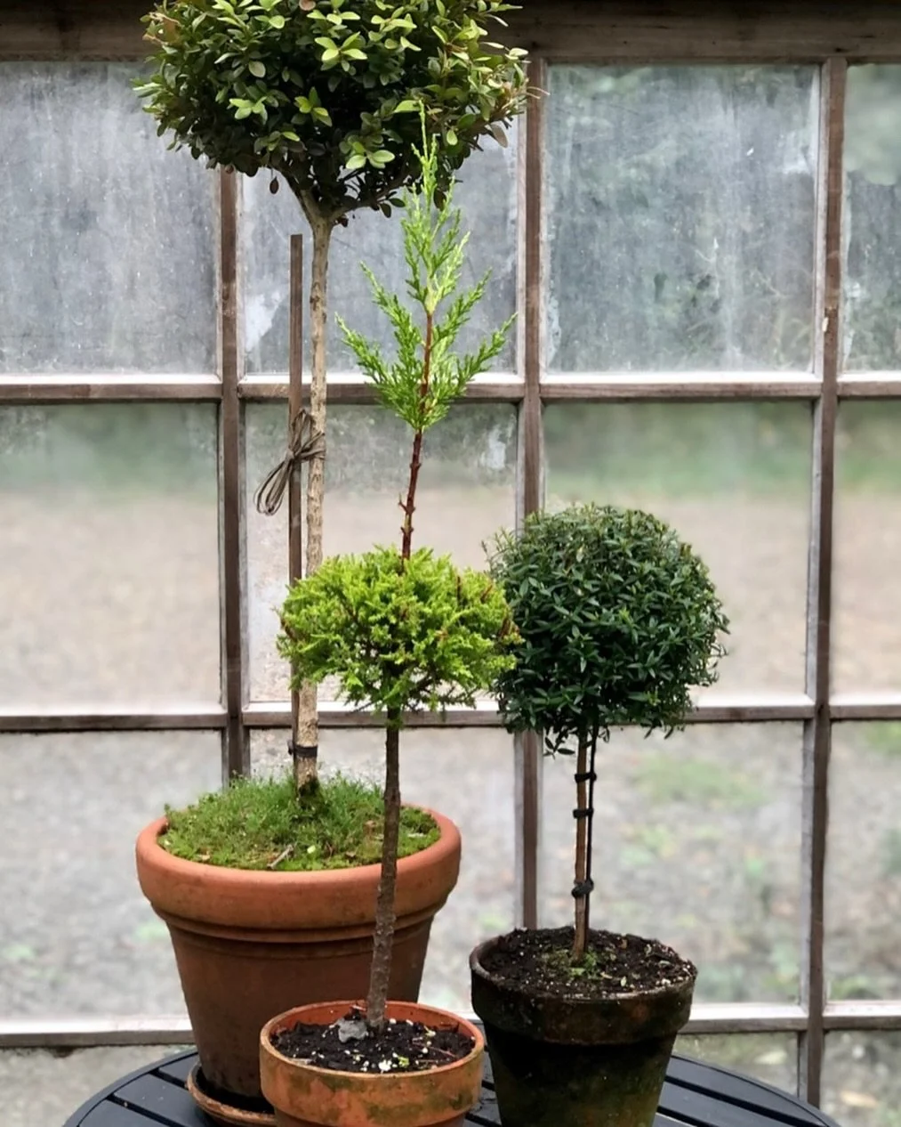 Time to get my greenhouse in order and ready for the cold months. #topiqry