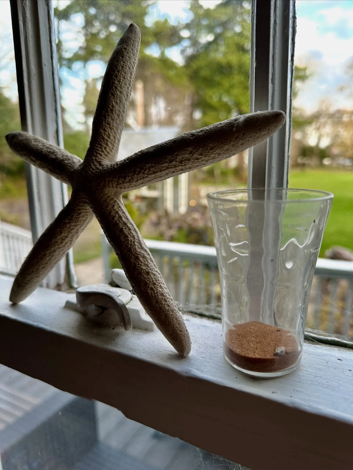 Here&rsquo;s a little slice of life in our house story. We&rsquo;re busy sorting, cleaning, decluttering a bit (lots more to go) - dusting shelves that haven&rsquo;t been dusted in probably years. Getting ready for the adult kids to all come for Than