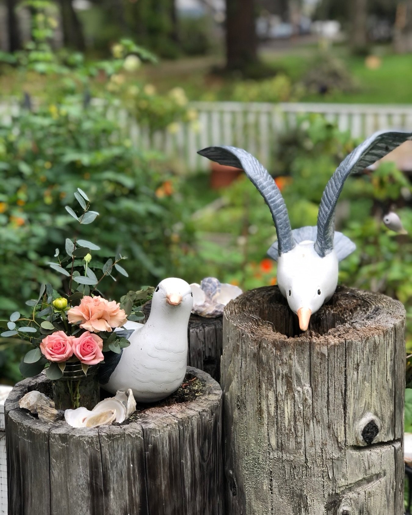 Making plans for my 2026 garden!