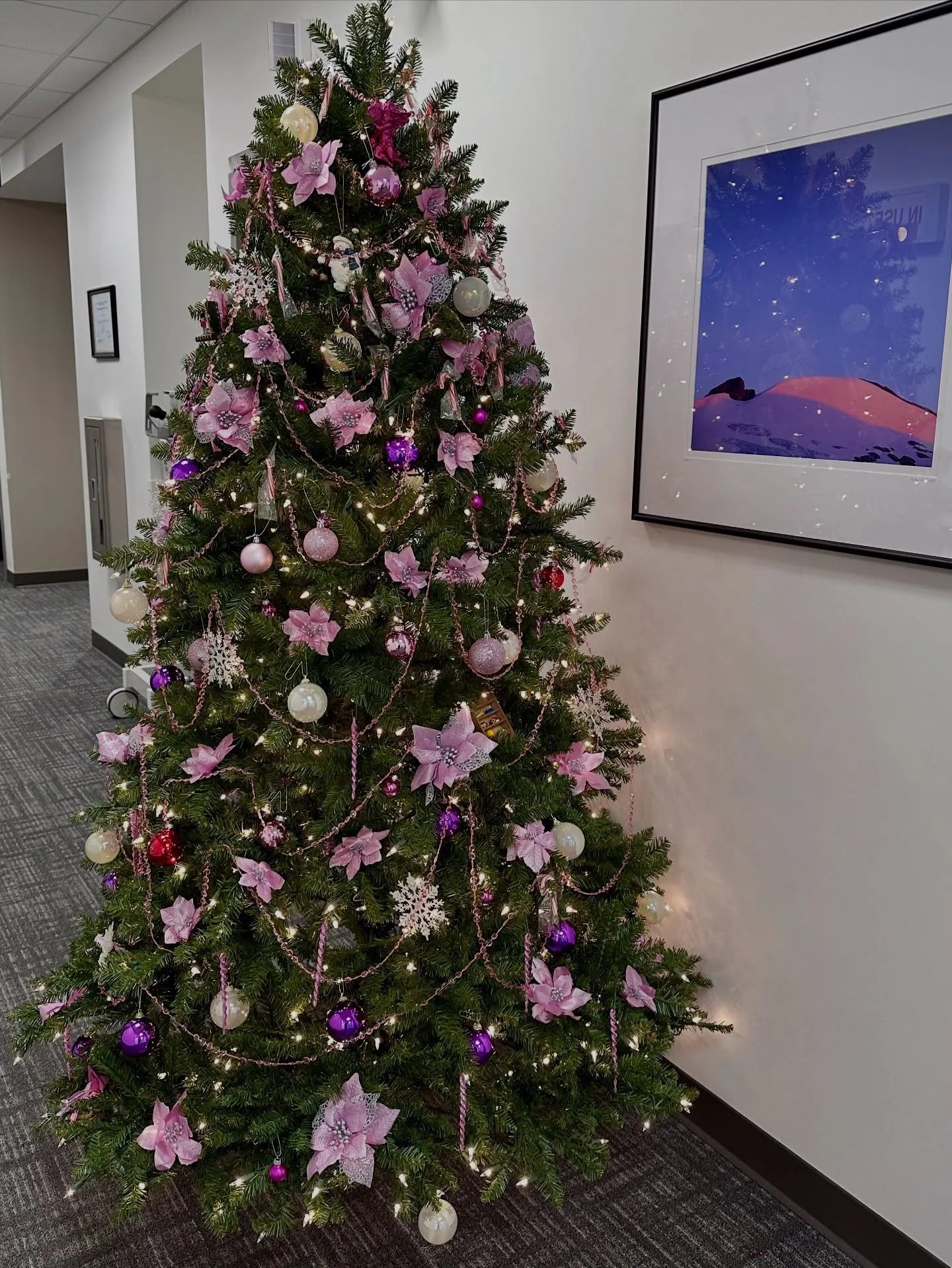Pink Christmas tree at OHSU Breast Center. Reminder to get the girls checked out!