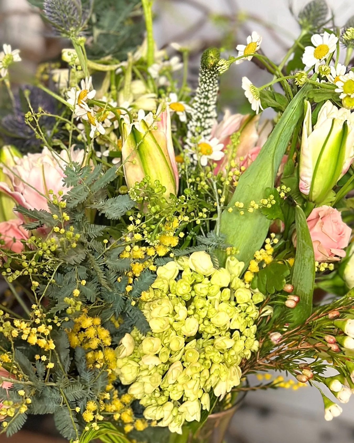 Mimosa season is here! Love their wispy vibes! Double Lilly, double tulips, petite roses, thistle and hydrangea are perfect! January has its own floral blessings!