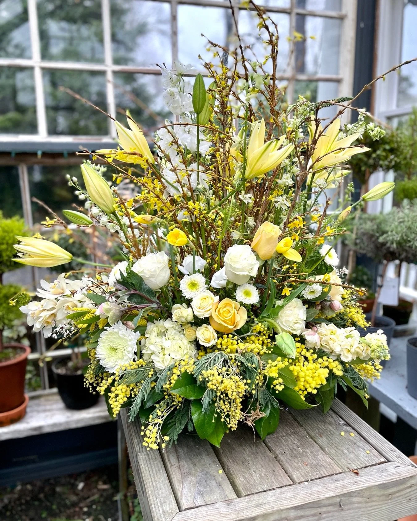 I love mimosa and forsythia season! #nansenflorals
