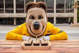 OSKI BEAR Director of Memes
