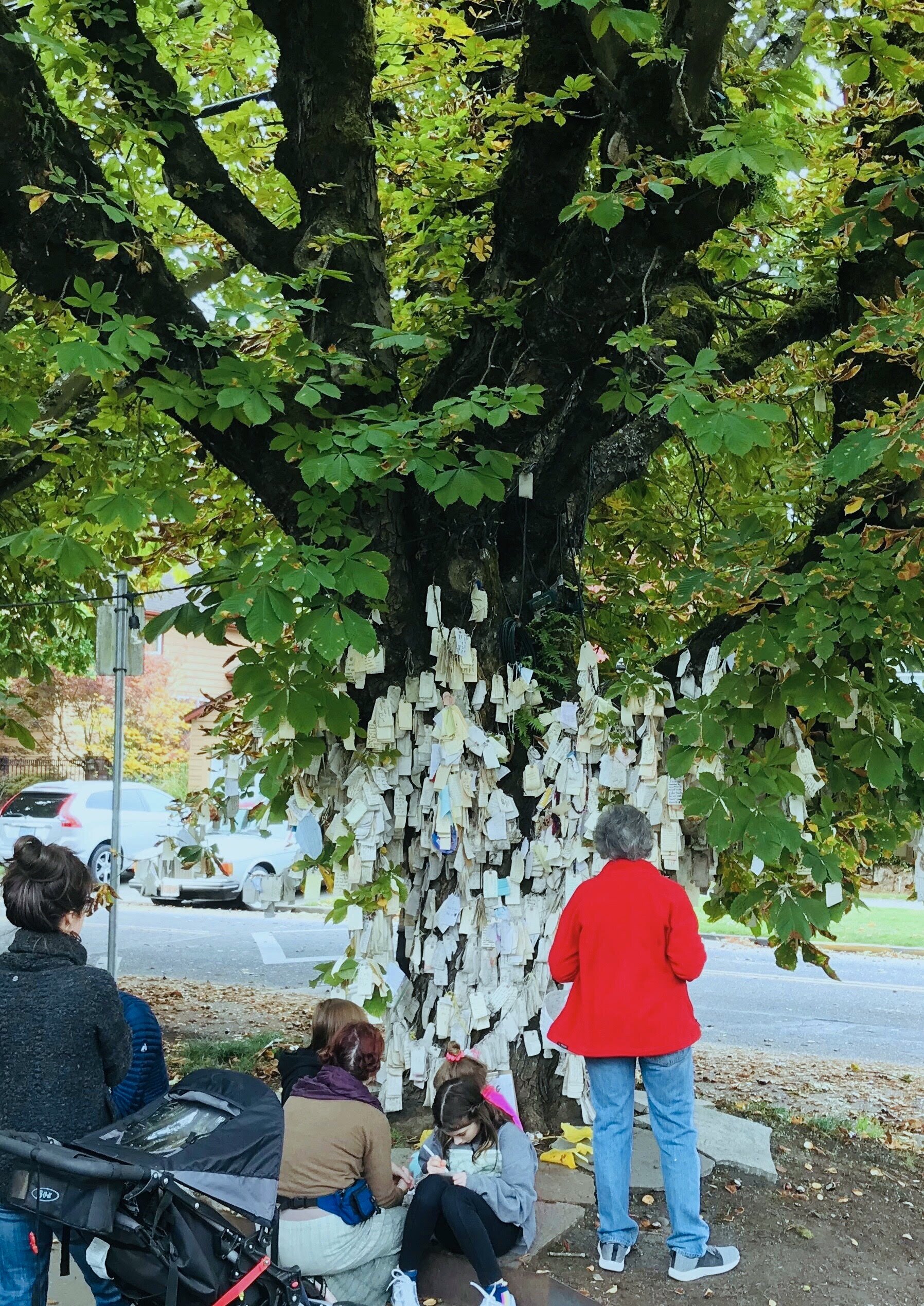  OCTOBER WISHING TREE WALK 2022