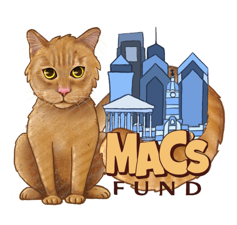 Mac's Fund - Kitten Cuddle