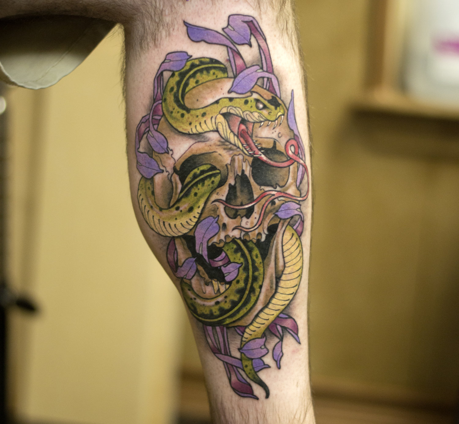 skulland+snake2.jpeg