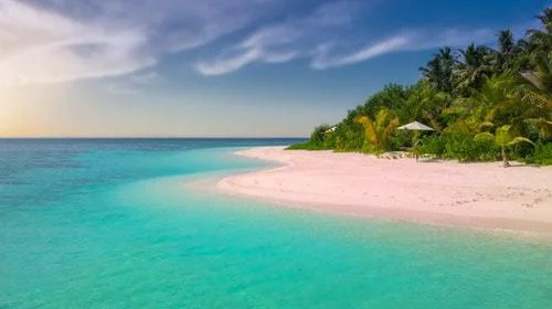 James Cook University - Eliminating malaria in the Solomon Islands