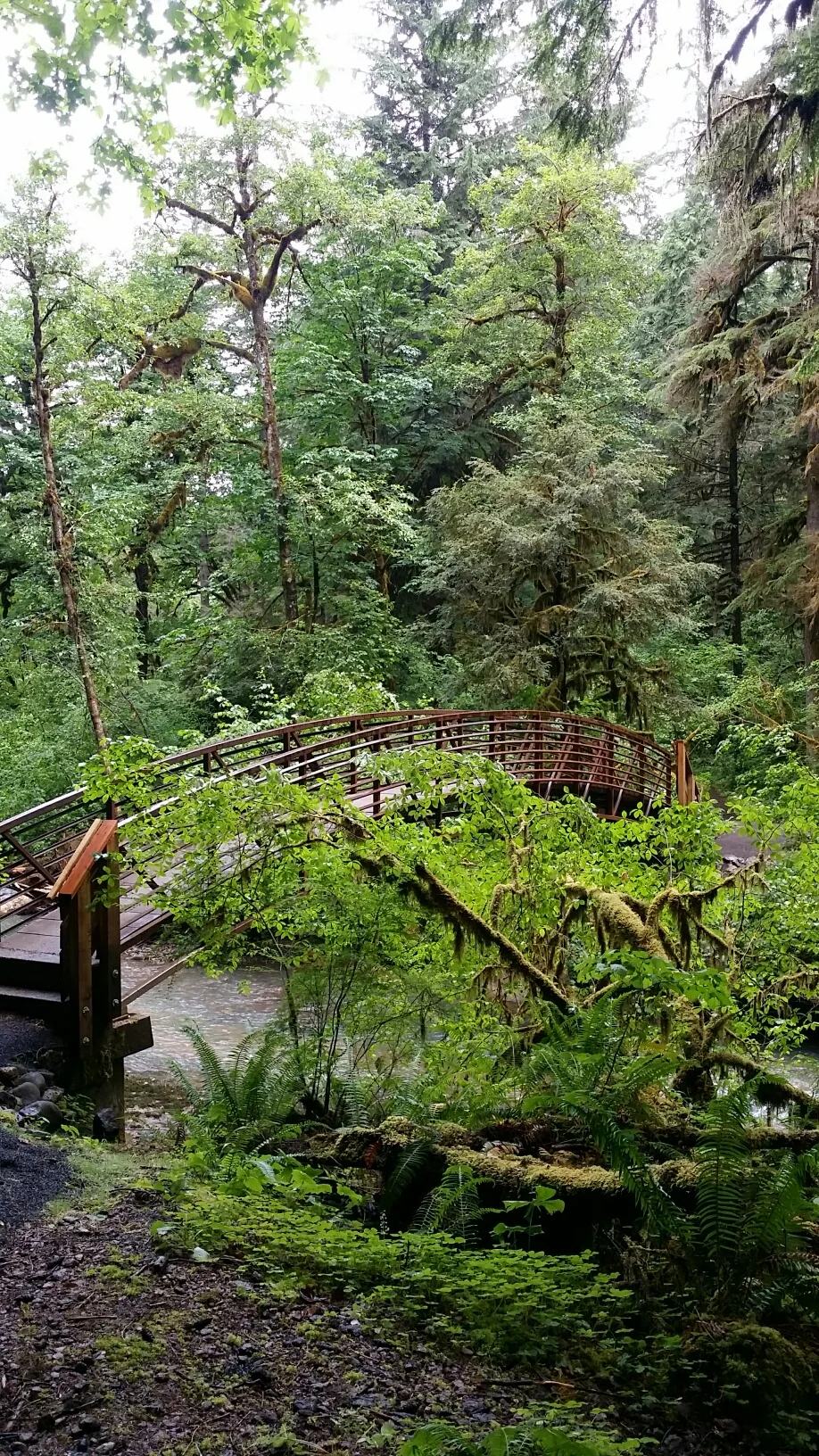Hikes%2FWolfCreekFalls1.jpg
