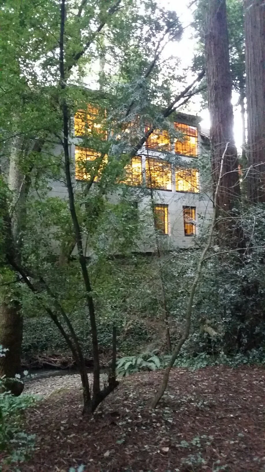 Arts_MillValleyLibrary-MillValley.jpg