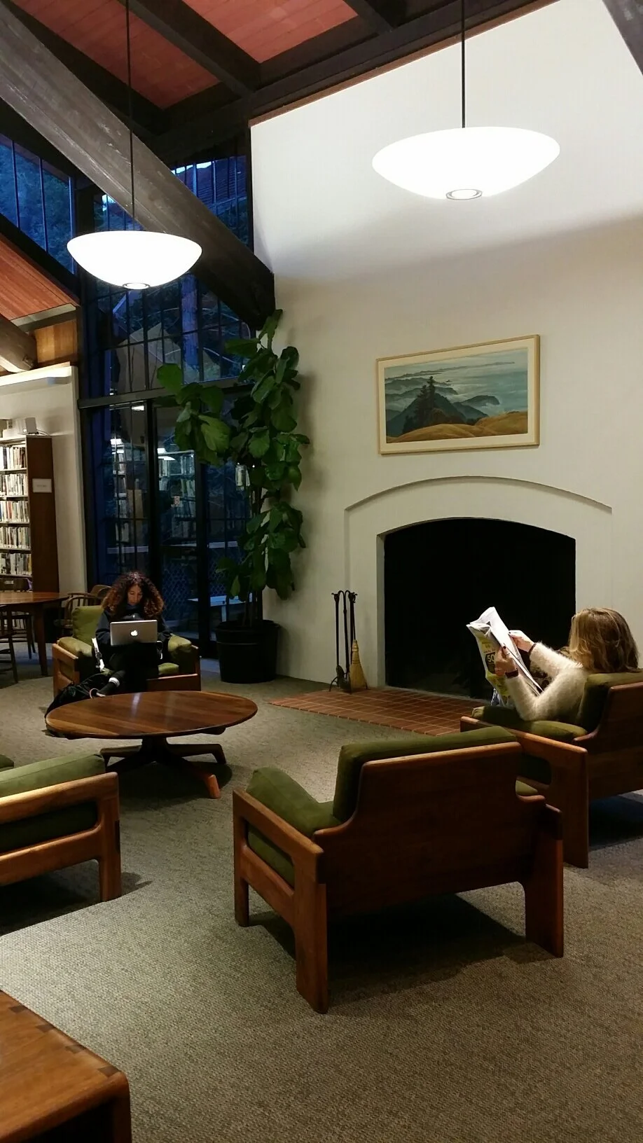 Arts_MillValleyLibrary2-MillValley.jpg