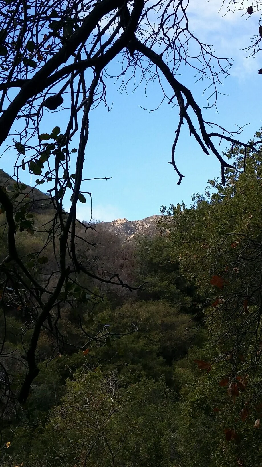 Hikes_ColdSpringTrail3-Montecito(1).jpg