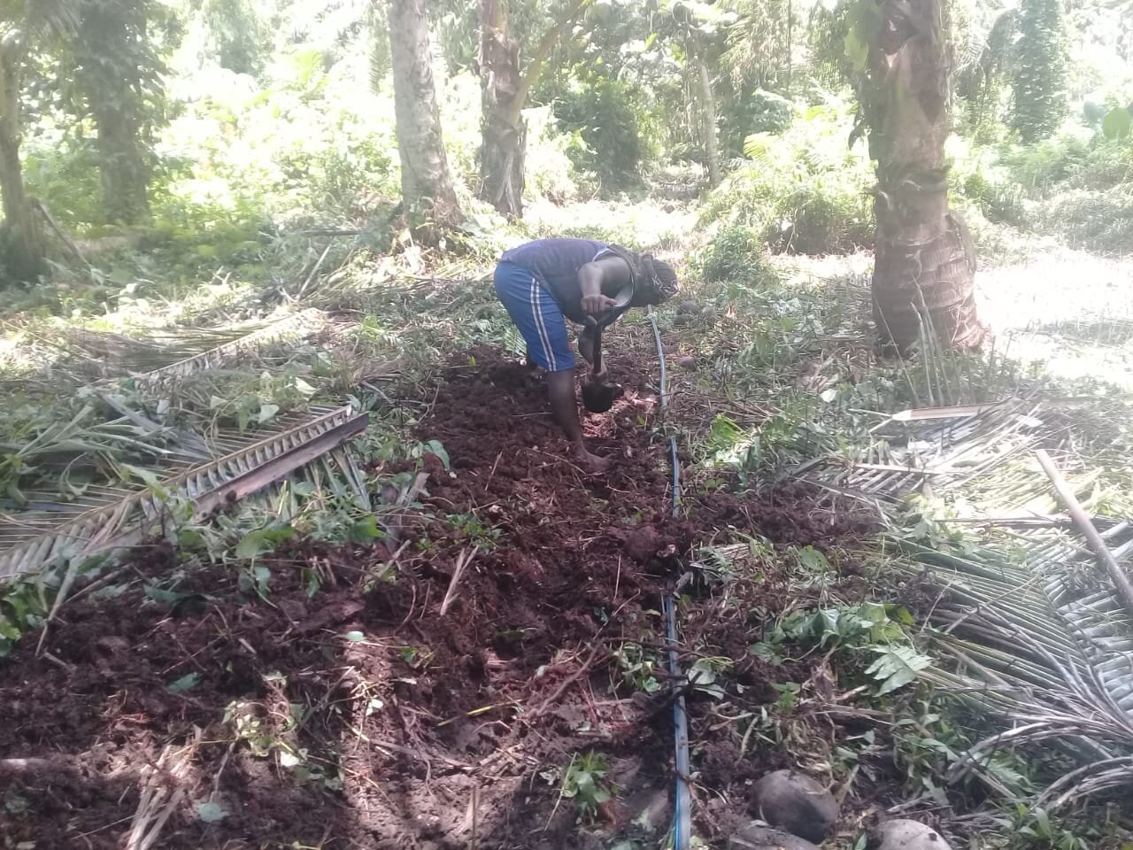 Burying the pipe — very important to protect from gardening tools (machetes!)