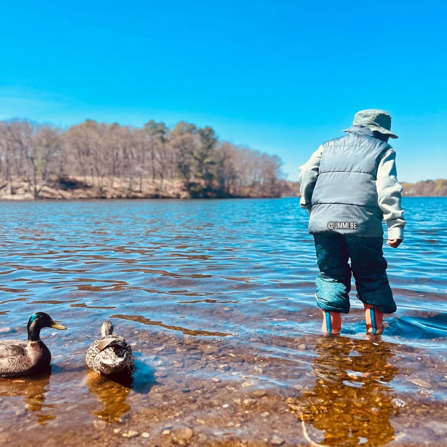 just a boy and his friend ducks 

cause black boys in nature >> 

blessed spring equinox ✨🦆🌷 

#springequinox #springvibes🌸 
#kidsinnature #blackboyjoy