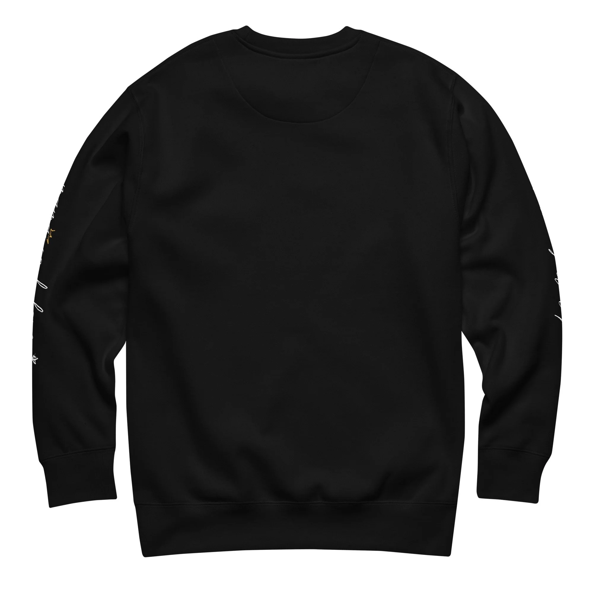 unisex-premium-sweatshirt-black-back-69e819220dfcf.jpg