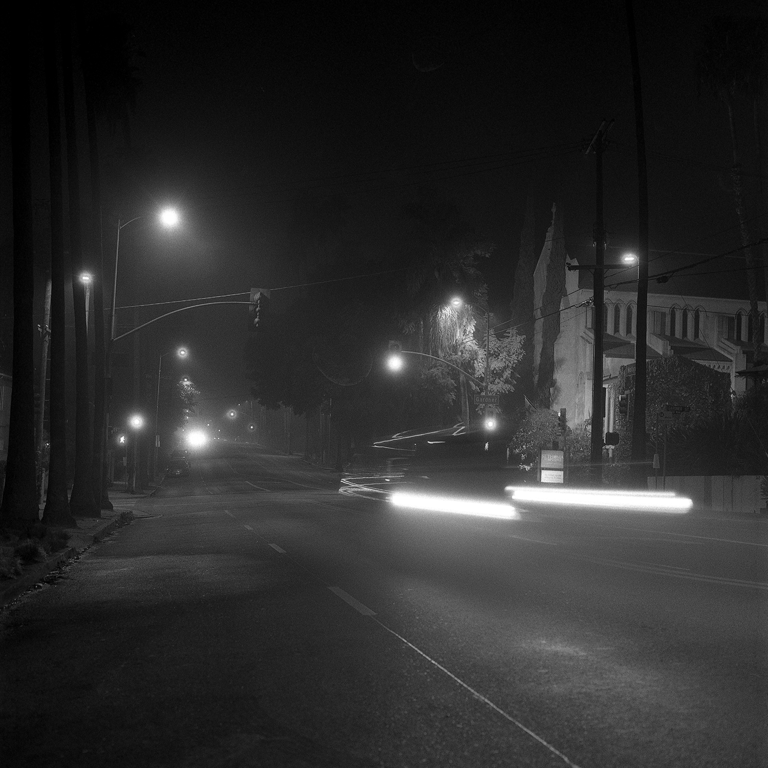 night-photogrpahy-hollywood-blvd-marchisano.png