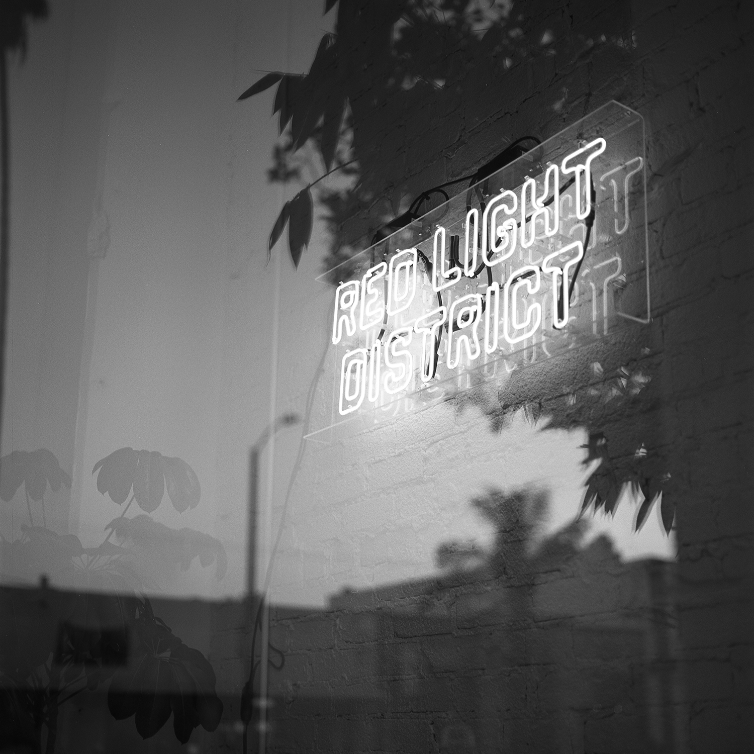 redlight-district-medium-format-marchisano.png