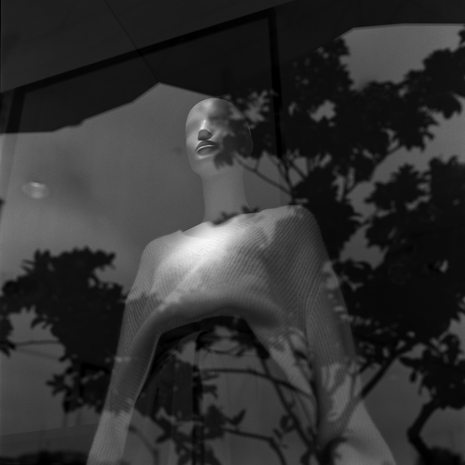 reflection-melrose-blvd-marchisano.png