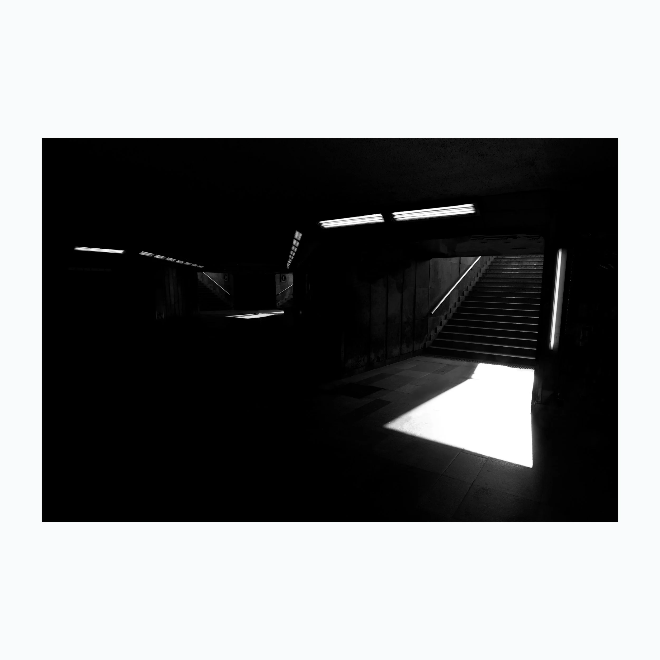 _DSF5225 copy.jpg